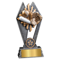 Baseball Softball Sun Ray Award
