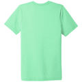 Mint Triblend back - BELLA+CANVAS Unisex Triblend Short Sleeve Tee