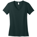 Rainforest front - District Women's Perfect Weight V-Neck Tee