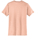 Dusty Peach back - District Very Important Tee