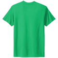 Envy back - Next Level Apparel Adult Tri-Blend Tee