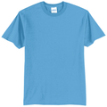 Aquatic Blue front - Port & Co Core Blend Tee